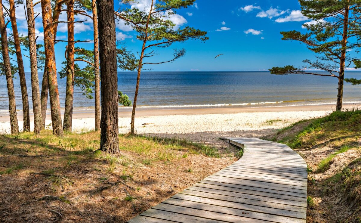 Jūrmala, a floresta de pinheiros a encontrar a areia branca de quartzo do mar Báltico, a 25 km de Riga.
