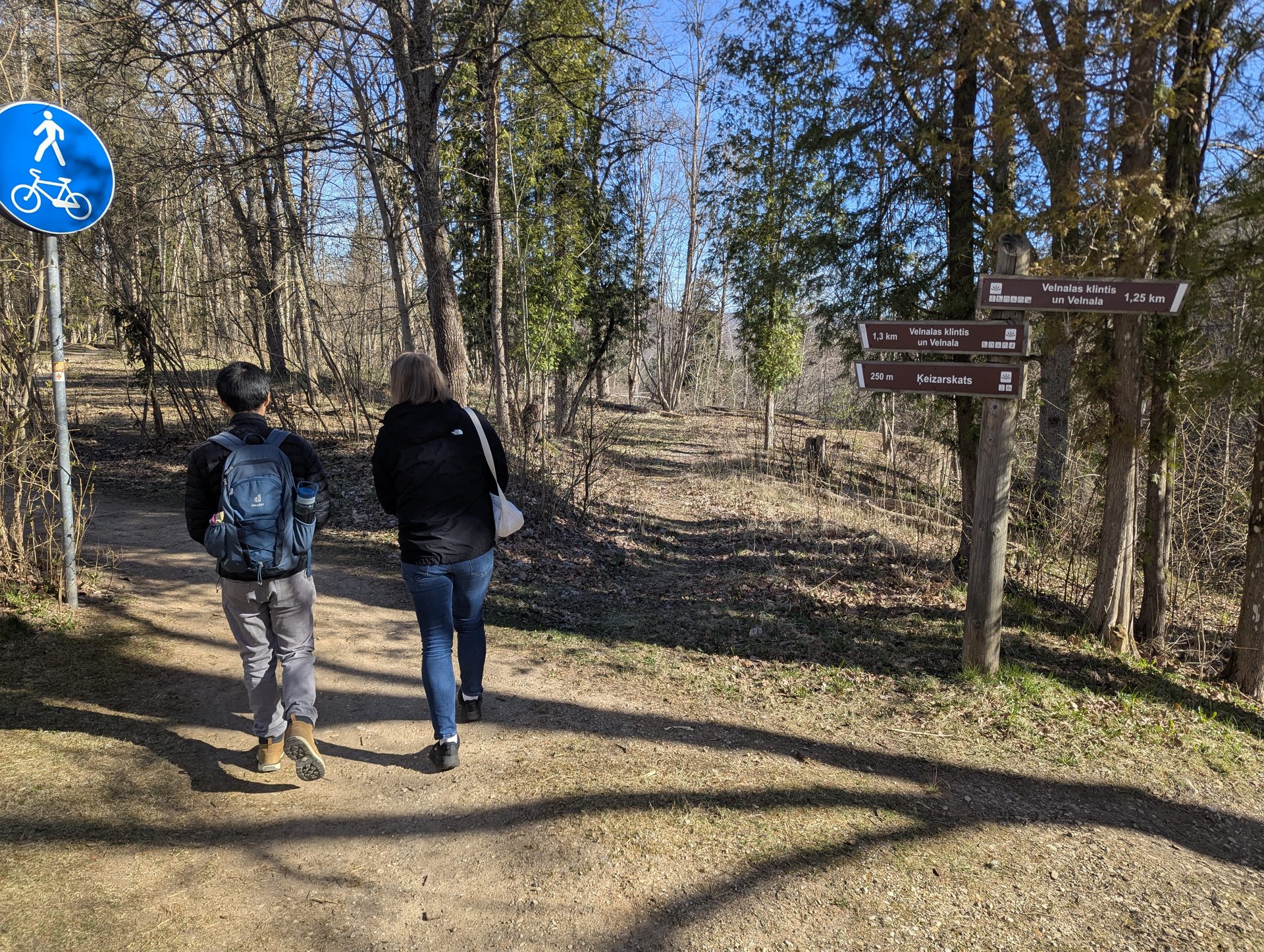 Trilhos do vale do Gauja perto de Velnu klints (Falésia do Diabo)