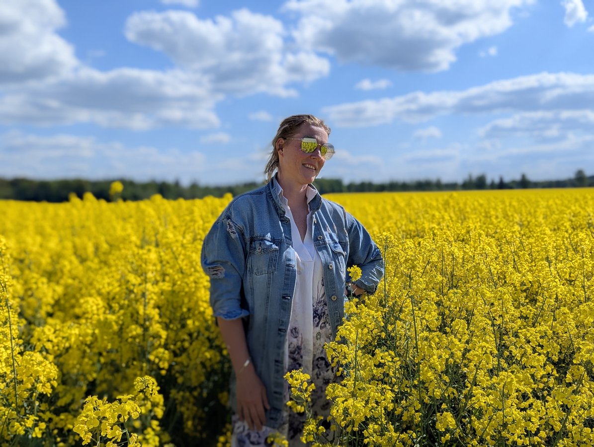 Um campo de colza em flor, primavera no vale do Gauja