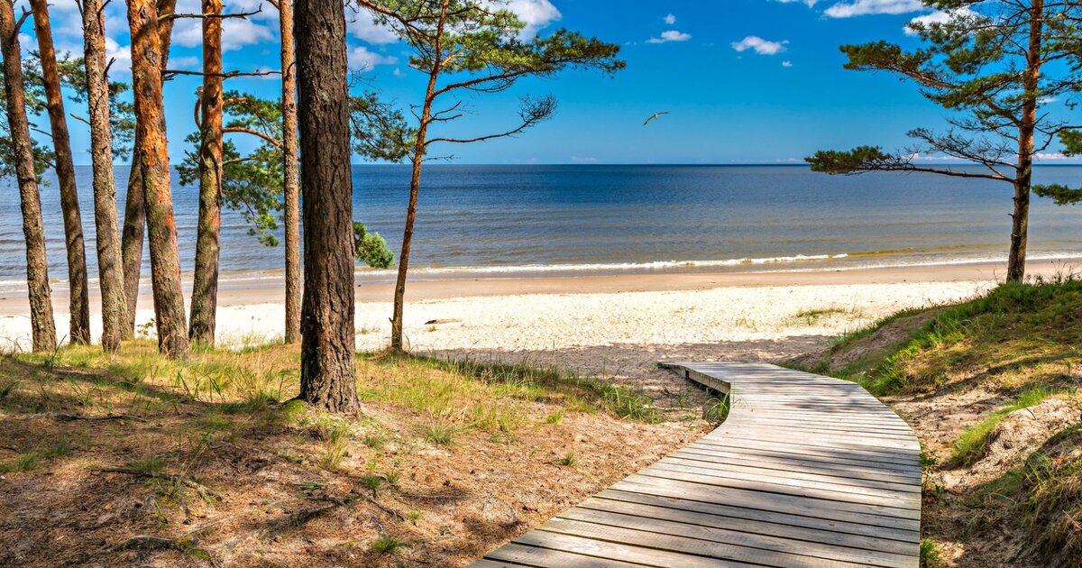 Jūrmala, a floresta de pinheiros a encontrar a areia branca de quartzo do mar Báltico, a 25 km de Riga.